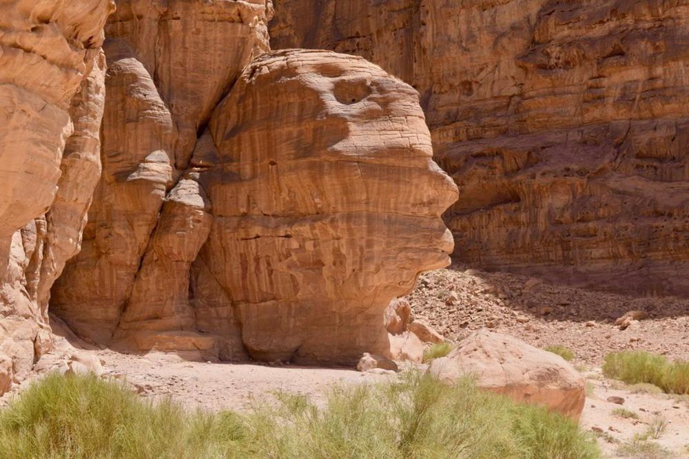 فندق Harmony Luxury Camp وادي رم المظهر الخارجي الصورة