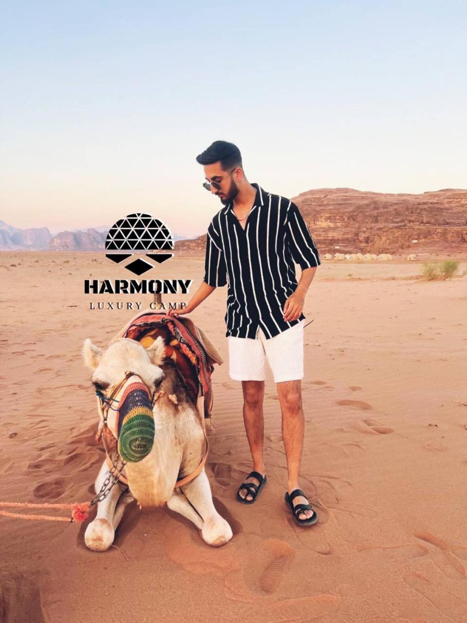 فندق Harmony Luxury Camp وادي رم المظهر الخارجي الصورة