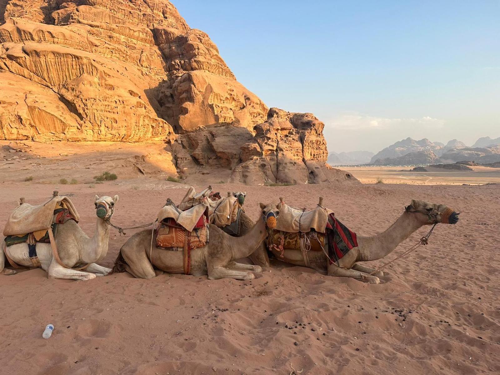 فندق Harmony Luxury Camp وادي رم المظهر الخارجي الصورة