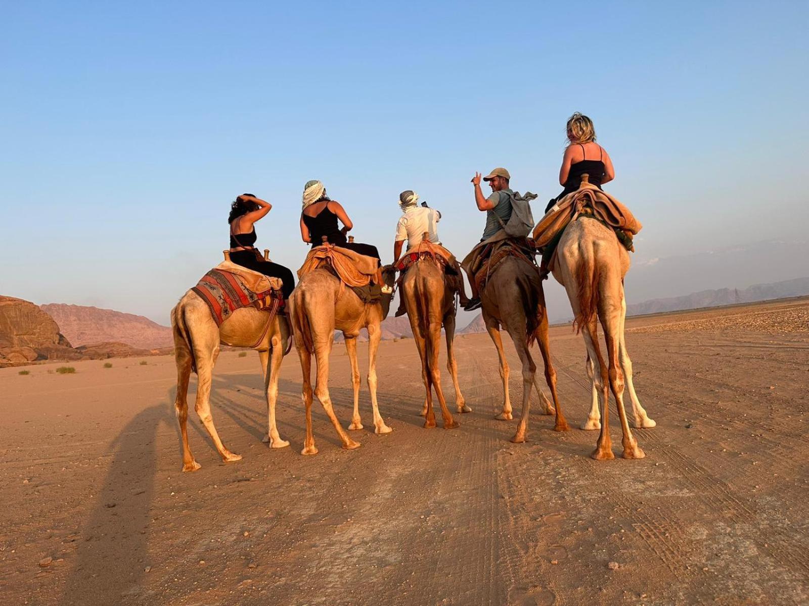 فندق Harmony Luxury Camp وادي رم المظهر الخارجي الصورة